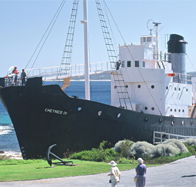 Discovery Bay Tourism Experience