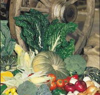 Mulgowie Real Farmers Markets - Tourism Brisbane
