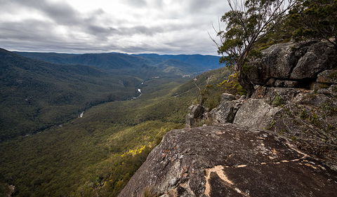 Mann River Nature Reserve - Tourism Brisbane 2