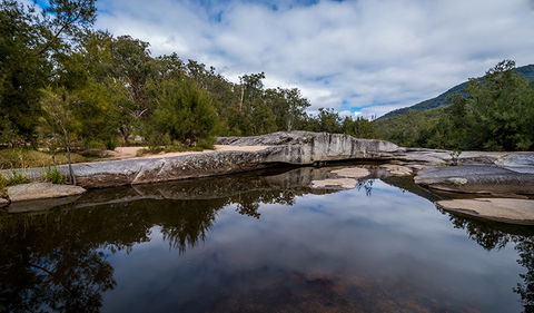 Mann River Nature Reserve - Tourism Brisbane 3