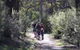 Syd's Rapids And Aboriginal Heritage Trail, Avon Valley - thumb 0