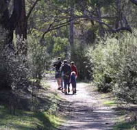 Syd's Rapids and Aboriginal Heritage Trail Avon Valley - Tourism Brisbane