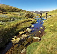 Australian Alps Walking Track - Tourism Brisbane