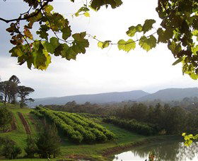 Enniskillen Orchard - Brisbane Tourism 1