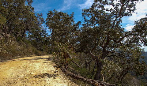 Parr State Conservation Area - Tourism Brisbane 0