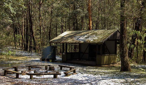 Parr State Conservation Area - Tourism Brisbane 1