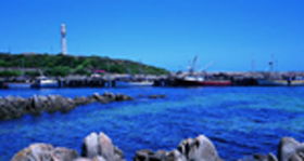 King Island Dairies - Brisbane Tourism 0
