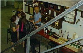John Kosovich Wines - Tourism Brisbane 1