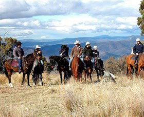 Snowy Wilderness - Brisbane Tourism 0
