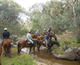 Snowy Wilderness - Brisbane Tourism 5