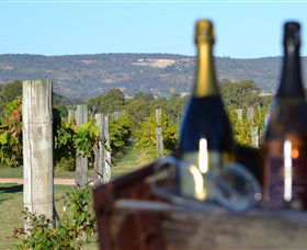 Ugly Duckling Wines - Brisbane 4u 1