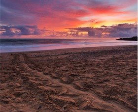 Mon Repos Beach - Tourism Brisbane 0