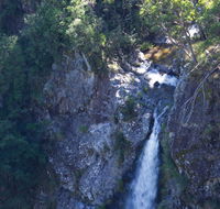 Lyrebird Falls walking track - Brisbane Tourism