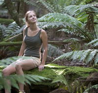 Barrington Tops National Park - Honeysuckle Forest Track - Tourism Brisbane