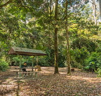 Tooloom National Park - Tourism Brisbane