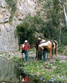Yarramba Horse Riding - Brisbane Tourism 0