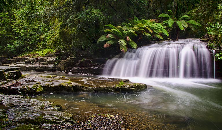 Martins Creek NSW Tourism Brisbane