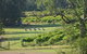 Wollombi Wines - thumb 8