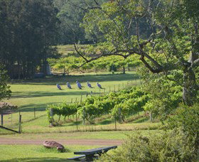 Wollombi Wines - Tourism Brisbane 8