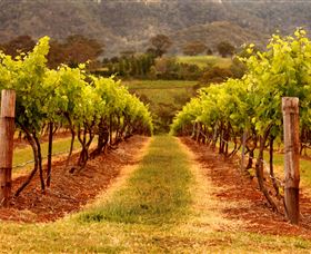 Hunter Valley Wine School - Tourism Brisbane 1