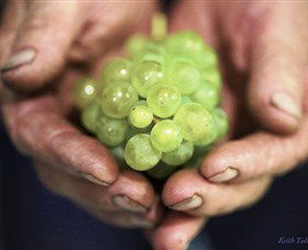 Keith Tulloch Wine - Tourism Brisbane 1