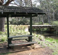 Barrington Tops State Forest - Tourism Brisbane