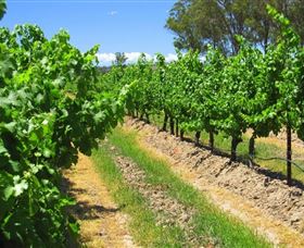 Misty Glen Wines And Cottage - Tourism Brisbane 1