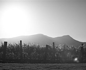 Scarborough Wine Co. - Brisbane 4u 1