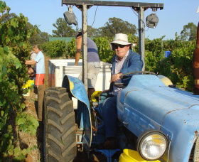 Pokolbin Brothers Wines Hunter Valley - Tourism Brisbane 1