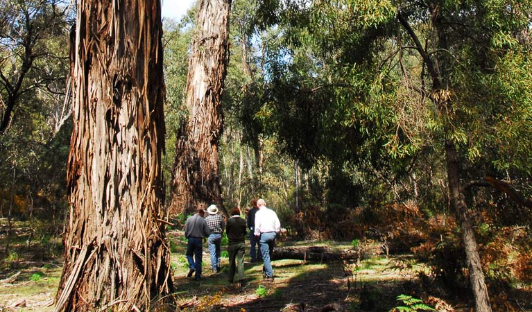 Araluen NSW Tourism Brisbane
