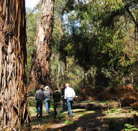 Tallaganda National Park - Tourism Brisbane
