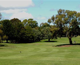 Cooma Golf Club - Tourism Brisbane 1