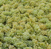 Normanby Wines - Tourism Brisbane