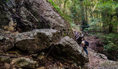 Woko National Park - Tourism Brisbane 2