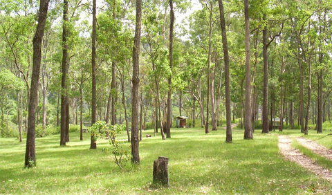 Nymboida National Park - Tourism Brisbane 2
