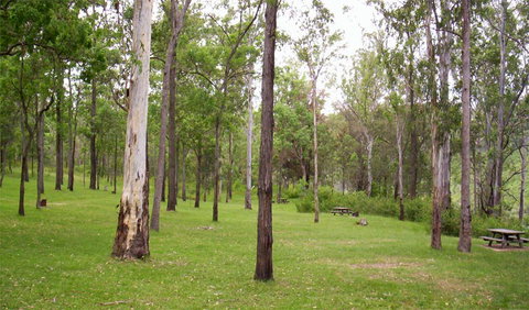 Nymboida National Park - Tourism Brisbane 3