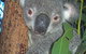 Hunter Valley Zoo - thumb 0