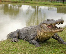 Hunter Valley Zoo - Tourism Brisbane 1