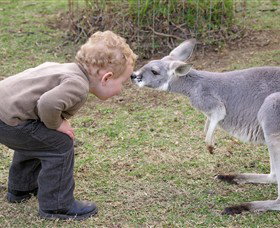 Hunter Valley Zoo - Tourism Brisbane 3