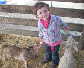 Hunter Valley Zoo - Tourism Brisbane 4