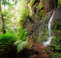 Fairy Bower Falls - Tourism Brisbane