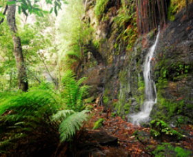 Fairy Bower Falls - Tourism Brisbane 0