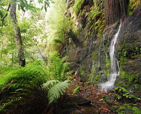 Fairy Bower Falls - Tourism Brisbane 2