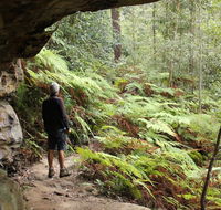 Dharug National Park - Brisbane Tourism