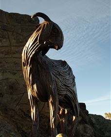 Nanny Goat Hill Lookout - Tourism Brisbane 0