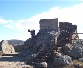 Nanny Goat Hill Lookout - Tourism Brisbane 3