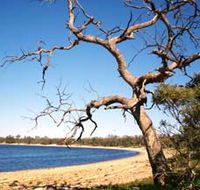 Lake Indoon - Brisbane Tourism
