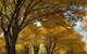 Centennial Park At Cooma - thumb 0
