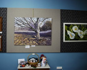 Monaro Art Groups Little Gallery - Brisbane Tourism 0