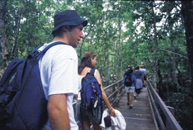 Bellthorpe National Park - Brisbane Tourism 0